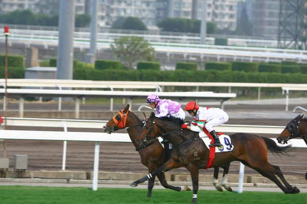 14 Dec 2008  Cathay Pacific Hong Kong International Horse Races. — Stock Photo, Image