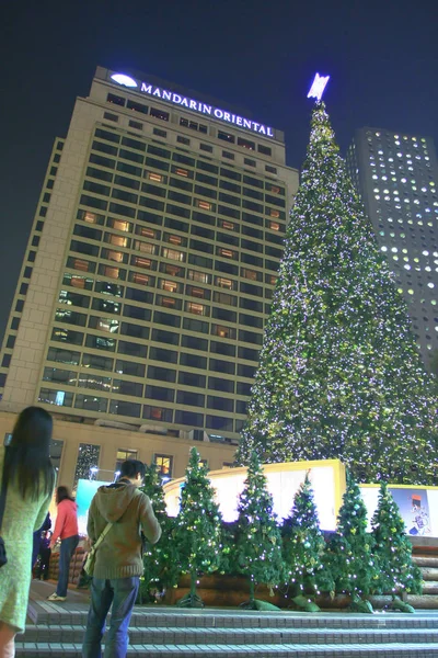 16 dez 2008 foto na frente da árvore de Natal no distrito central — Fotografia de Stock