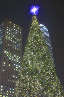 16 dec 2008 photo in front of Christmas tree in Central district