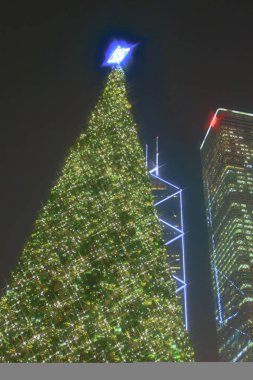 16 dec 2008 photo in front of Christmas tree in Central district