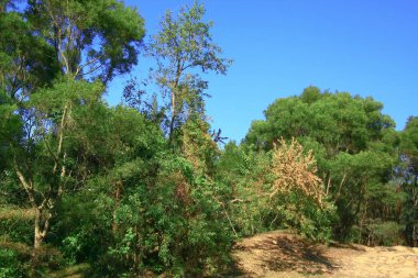 Hoi ha Wan. sai kung hong kong 30 Kasım 2008