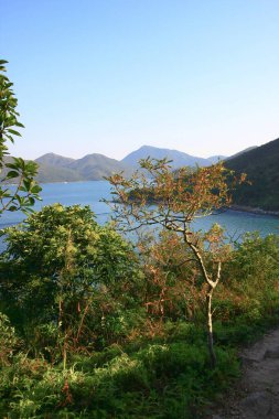 Hoi ha Wan. sai kung hong kong 30 Kasım 2008