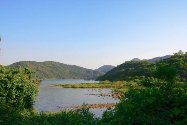 Hoi ha Wan. sai kung hong kong 30 Kasım 2008