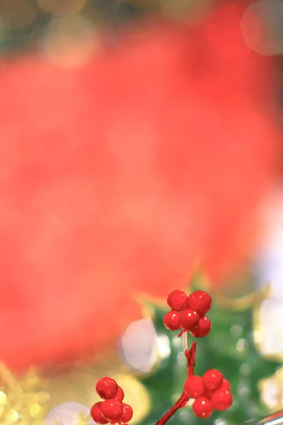 Hong Kong Alışveriş Merkezi Nde Noel Kutlaması Aralık 2008 — Stok fotoğraf