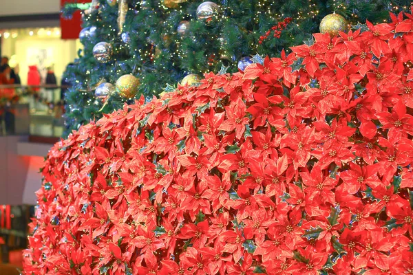 Natale Festivo Centro Commerciale Hong Kong Dic 2008 — Foto Stock