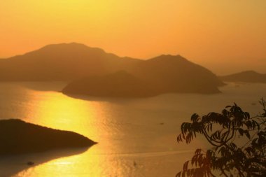 Stanley Hong Kong 'un İkiz Görüşü 29 Kasım 2008