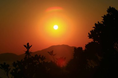 Stanley Hong Kong 'un İkiz Görüşü 29 Kasım 2008