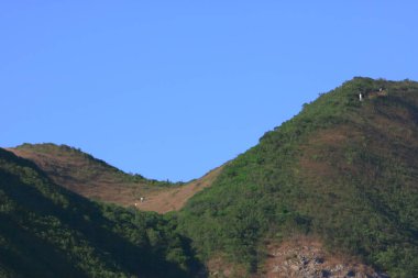 Violet Hill 'in Doğa Bakış Alanı Hong Kong 29 Kasım 2008
