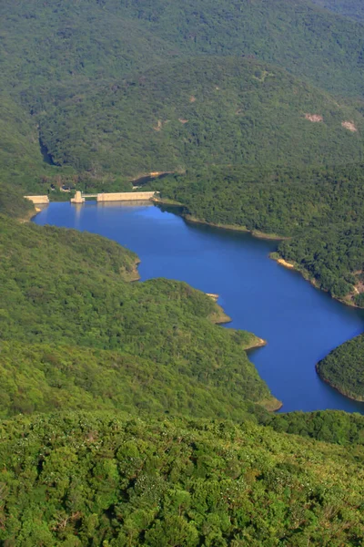 Μονοπάτι Της Violet Hill Άποψη Της Φύσης Hong Kong Νοέμβριος — Φωτογραφία Αρχείου