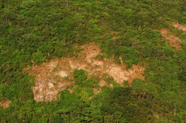 Violet Hill 'in Doğa Bakış Alanı Hong Kong 29 Kasım 2008