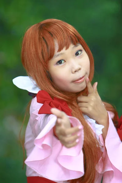 Cosplayer Als Charaktere Beim Japanischen Cosplay Festival Nov 2008 — Stockfoto