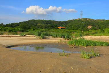 21 Haziran 2008 'de Pak Nai bataklıklarında güneş battı. Hong Kong.