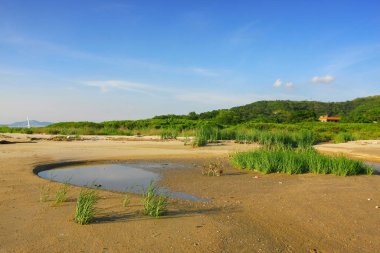 21 Haziran 2008 'de Pak Nai bataklıklarında güneş battı. Hong Kong.
