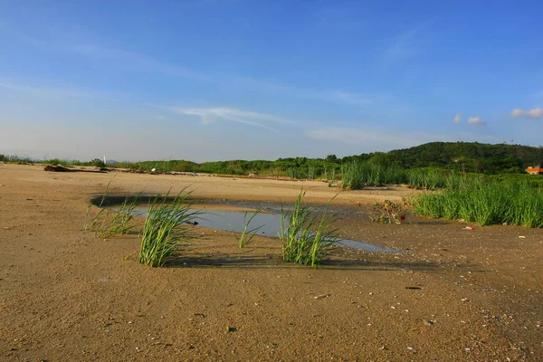 Junio 2008 Puesta Del Sol Zona Húmeda Pak Nai Hong — Foto de Stock