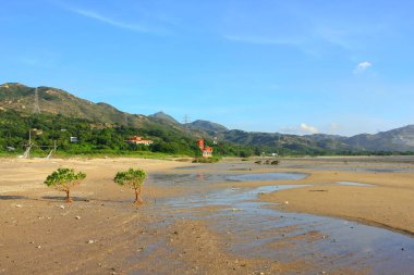 21 Haziran 2008 'de Pak Nai bataklıklarında güneş battı. Hong Kong.