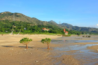 21 Haziran 2008 'de Pak Nai bataklıklarında güneş battı. Hong Kong.
