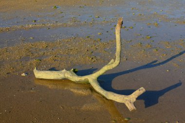 21 Haziran 2008 'de Pak Nai bataklıklarında güneş battı. Hong Kong.