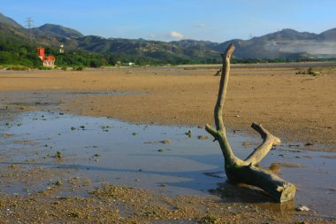 21 Haziran 2008 'de Pak Nai bataklıklarında güneş battı. Hong Kong.