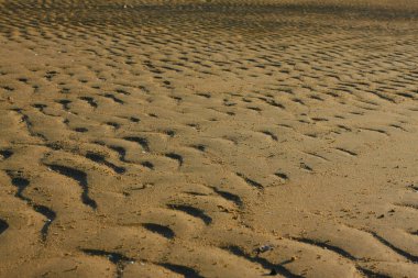 21 Haziran 2008 'de Pak Nai bataklıklarında güneş battı. Hong Kong.