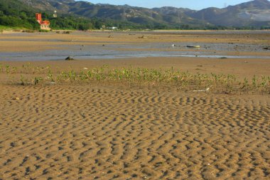 21 Haziran 2008 'de Pak Nai bataklıklarında güneş battı. Hong Kong.