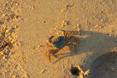 21 Haziran 2008 'de Pak Nai bataklıklarında güneş battı. Hong Kong.