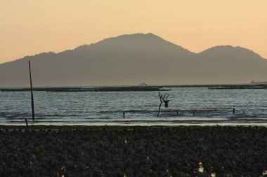 21 Haziran 2008 'de Pak Nai bataklıklarında güneş battı. Hong Kong.