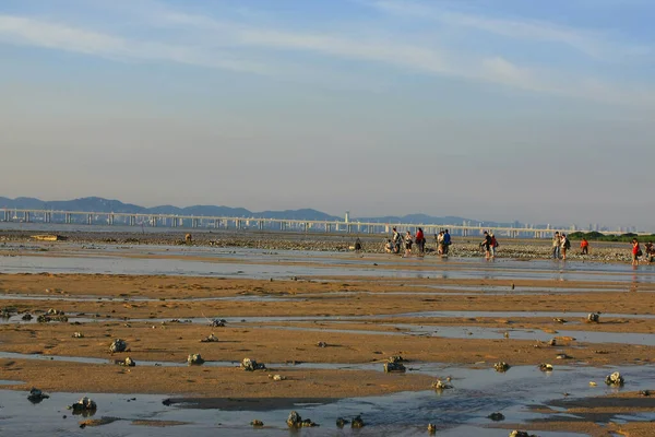 Juni 2008 Zon Ondergegaan Het Pak Nai Wetland Gebied Hong — Stockfoto