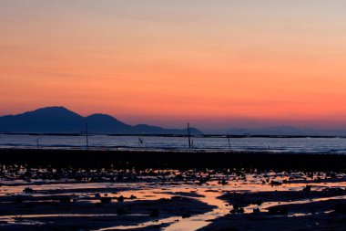 21 Haziran 2008 'de Pak Nai bataklıklarında güneş battı. Hong Kong.