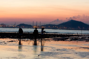 21 Haziran 2008 'de Pak Nai bataklıklarında güneş battı. Hong Kong.