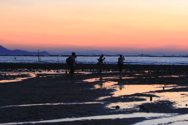 21 Haziran 2008 'de Pak Nai bataklıklarında güneş battı. Hong Kong.