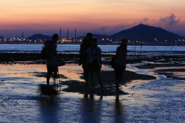 21 Haziran 2008 'de Pak Nai bataklıklarında güneş battı. Hong Kong.