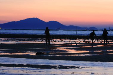 21 Haziran 2008 'de Pak Nai bataklıklarında güneş battı. Hong Kong.