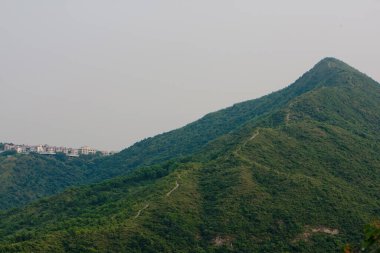 Port Shelter sai kung 'un güneş doğuşu 26 Temmuz 2008 