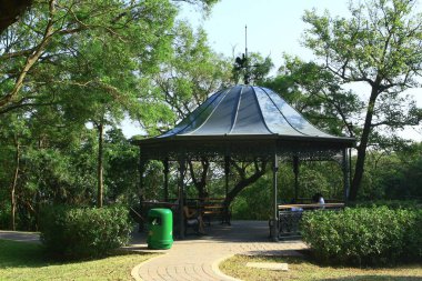 11 Ekim 2008 Harlech Yolu ve Lugard Yolu Dairesel Yürüyüş, Tepe