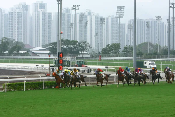 Wyścigi Konne Shatin Hongkong Paź 2008 — Zdjęcie stockowe