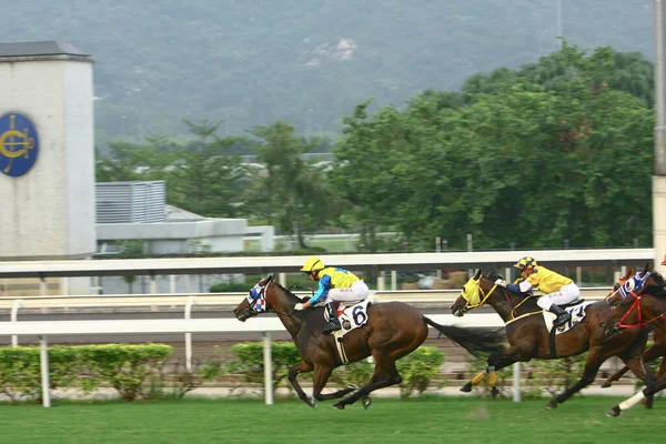 Wyścigi Konne Shatin Hongkong Paź 2008 — Zdjęcie stockowe