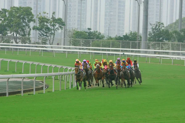 Wyścigi Konne Shatin Hongkong Paź 2008 — Zdjęcie stockowe