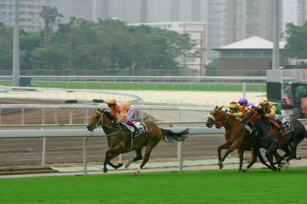 Horse Racing Shatin Hong Kong Oct 2008 — Stock Photo, Image