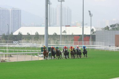 Bir At Yarışı. Shatin, Hong Kong 12 Ekim 2008 