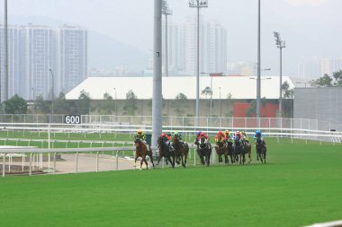 Bir At Yarışı. Shatin, Hong Kong 12 Ekim 2008 