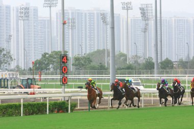 Bir At Yarışı. Shatin, Hong Kong 12 Ekim 2008 