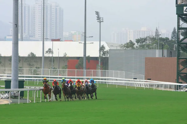 Wyścigi Konne Shatin Hongkong Paź 2008 — Zdjęcie stockowe