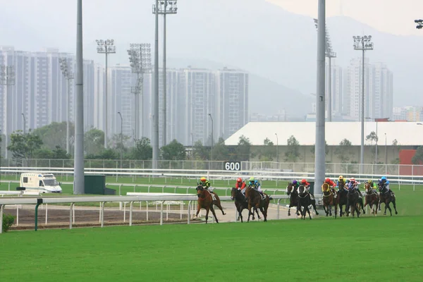 Bir Yarışı Shatin Hong Kong Ekim 2008 — Stok fotoğraf