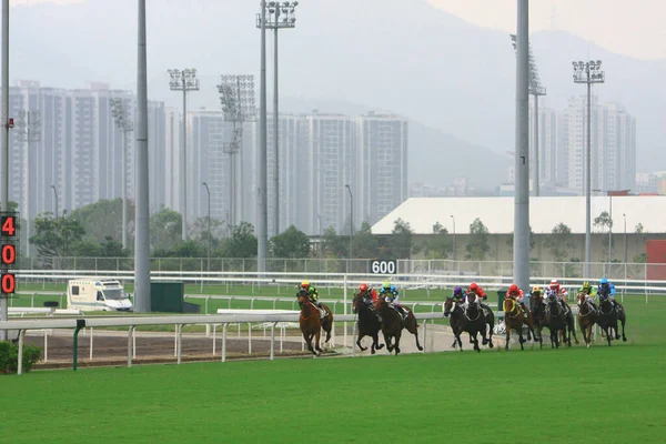 Uma Corrida Cavalos Shatin Hong Kong Out 2008 — Fotografia de Stock