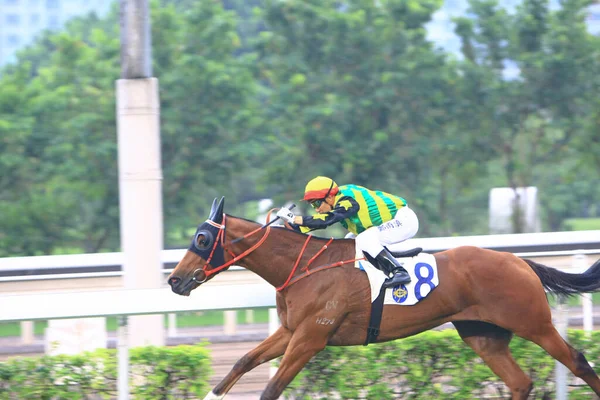 Horse Racing Shatin Hong Kong Oct 2008 — Stock Photo, Image