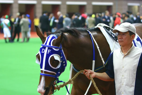 Cavalo Com Jockey Jockey Riding Horse Prepare Racing Localização Oct — Fotografia de Stock