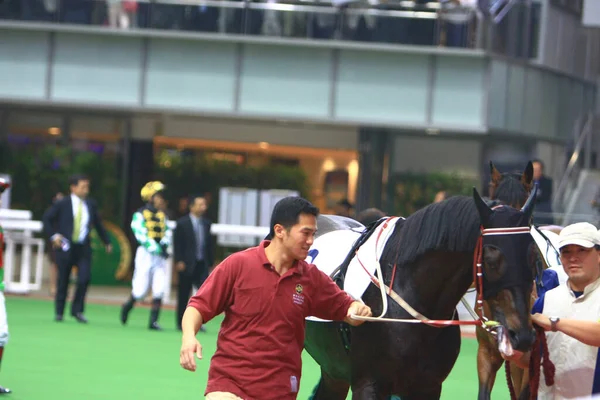 Cavalo Com Jockey Jockey Riding Horse Prepare Racing Localização Oct — Fotografia de Stock