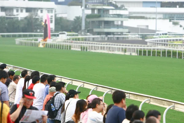 Uma Corrida Cavalos Shatin Hong Kong Out 2008 — Fotografia de Stock