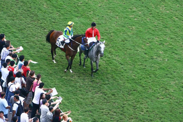 Okt 2008 Pferderennen Ist Ein Beliebter Sport Bei — Stockfoto