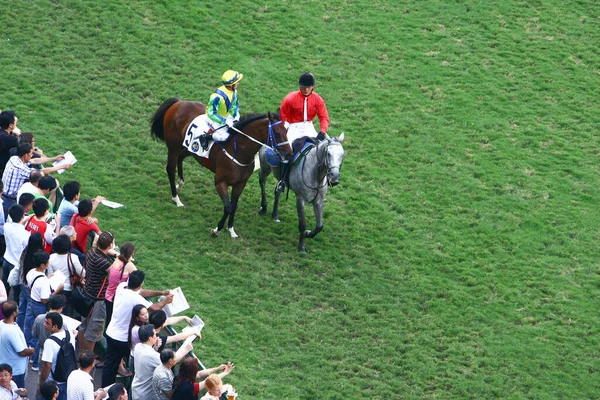 2008年10月19日競馬はHkで人気のあるスポーツです — ストック写真